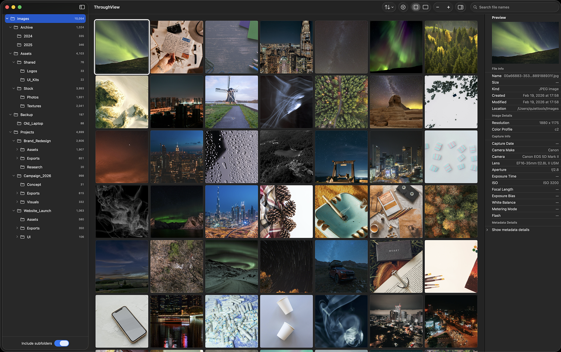 Folder navigation view with tree structure and grid display